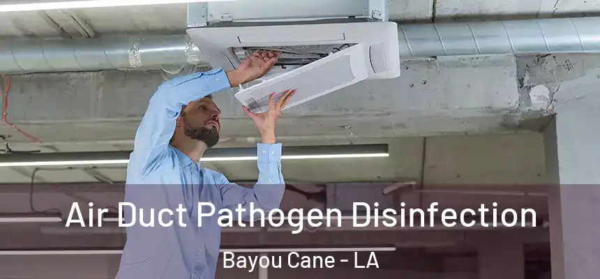 Air Duct Pathogen Disinfection Bayou Cane - LA