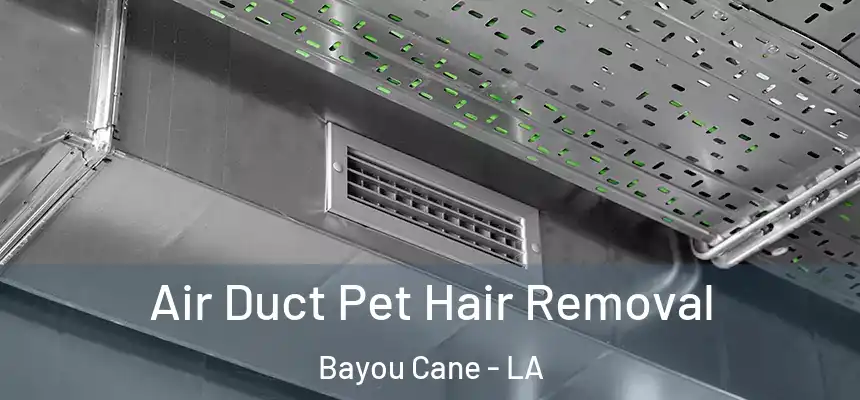  Air Duct Pet Hair Removal Bayou Cane - LA