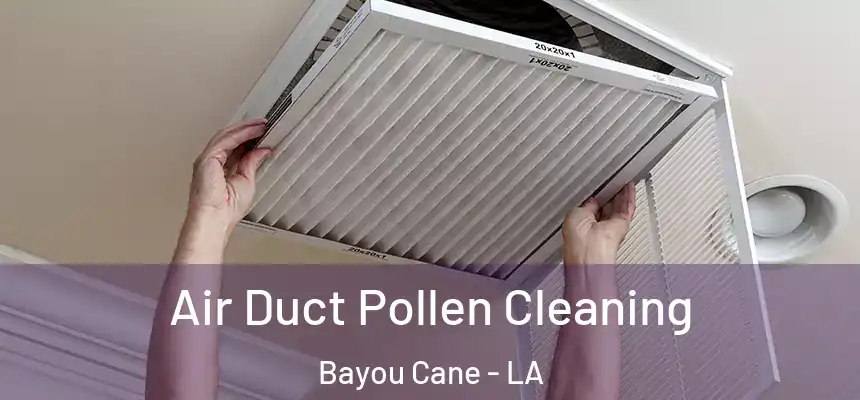  Air Duct Pollen Cleaning Bayou Cane - LA