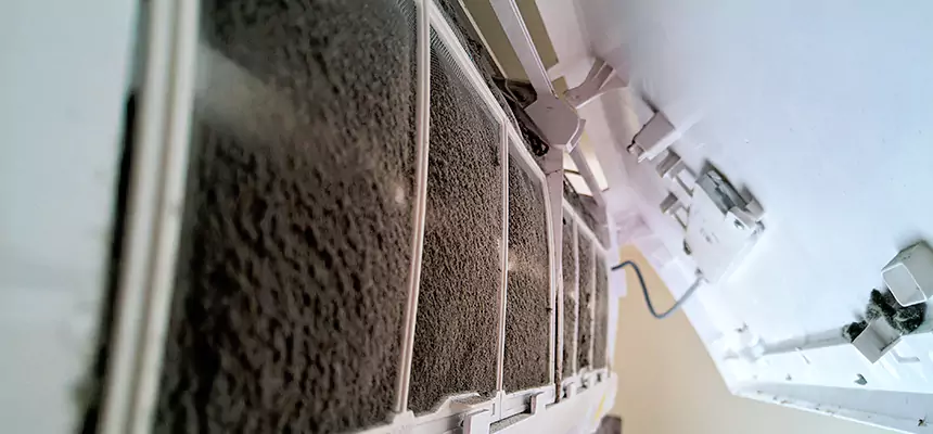 Preventive Air Duct Bacteria Removal in Bayou Cane