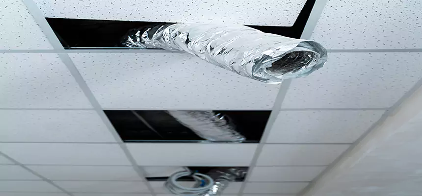 Our Air Duct Pet Hair Removal Services in Bayou Cane, LA