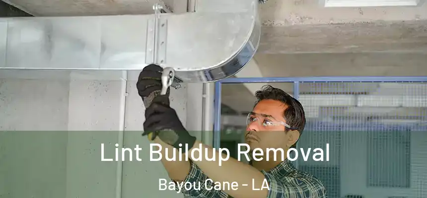  Lint Buildup Removal Bayou Cane - LA