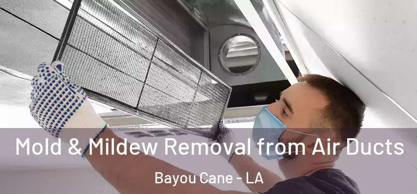 Mold & Mildew Removal from Air Ducts Bayou Cane - LA