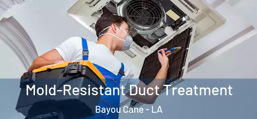  Mold-Resistant Duct Treatment Bayou Cane - LA