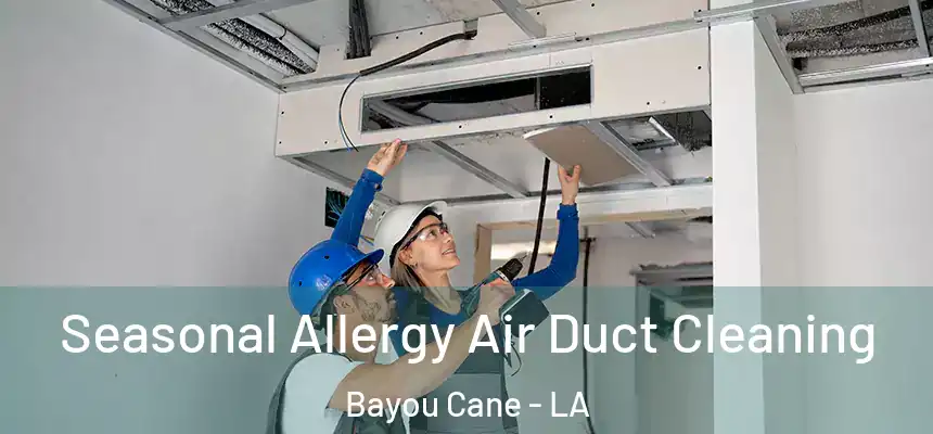  Seasonal Allergy Air Duct Cleaning Bayou Cane - LA