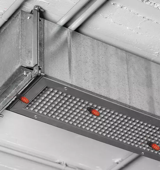 About Air Duct Cockroach Removal in Bayou Cane, LA