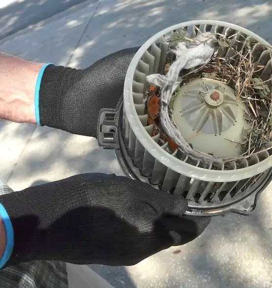 About Air Duct Mice Removal in Bayou Cane, LA