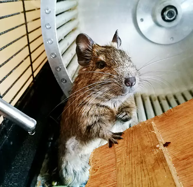 Why Homeowners & Businesses Trust Us Bayou Cane, LA