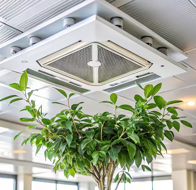 Why Homeowners & Businesses Trust Us in Bayou Cane, LA?