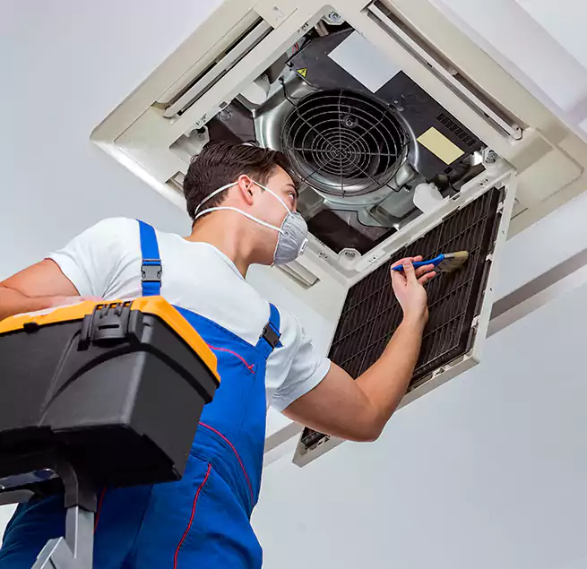 Why Homeowners & Businesses Trust Us in Bayou Cane, LA?