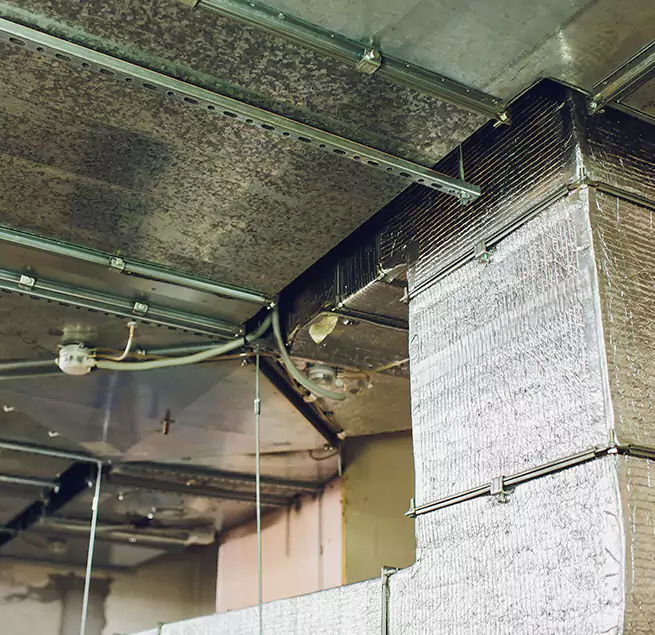 Why Homeowners & Businesses Trust Us in Bayou Cane, LA?